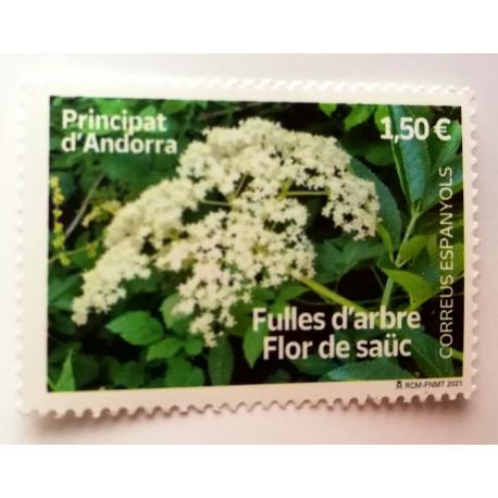 FUNDA DE 2 ESPACIOS BILLETES