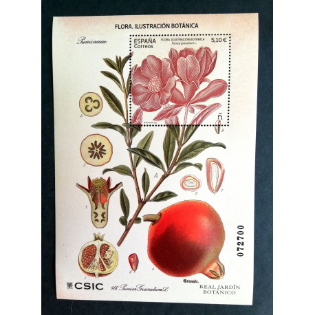 Flora, ilustración botánica 2022