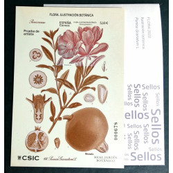 Prueba oficial de 2022