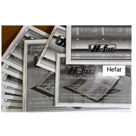 BALONCESTO VITORIA GASTEIZ