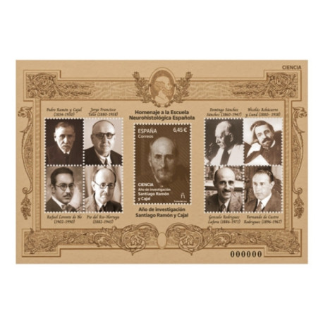 Año de la investigación 2023