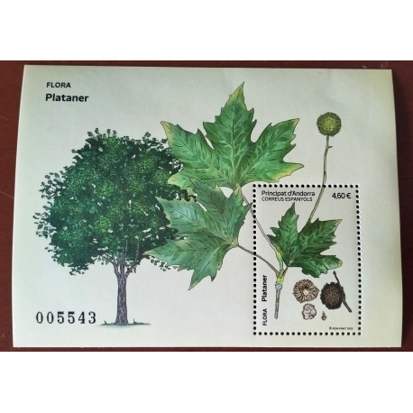 IMPERIO AUSTRO HÚNGARO 1918