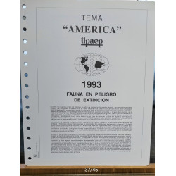 América UPAEP 1993