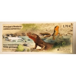 El tritón pirenaico 2024