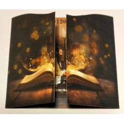 Museo Casa De Areny Plandolit 2024