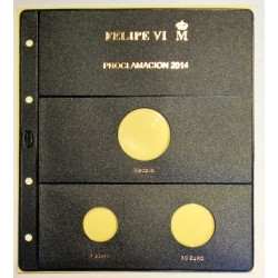 Funda Pardo Proclamación de Felipe VI