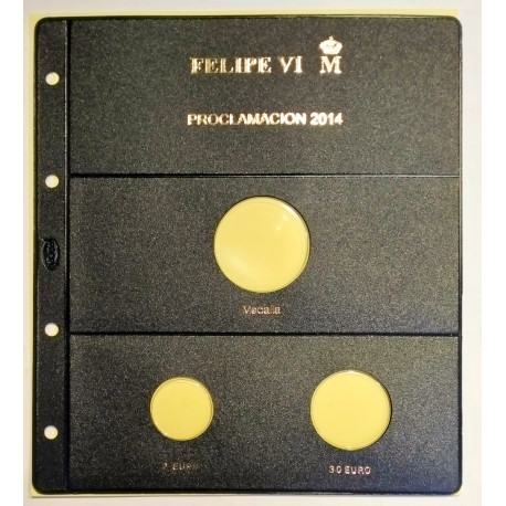 Funda Pardo Proclamación de Felipe VI