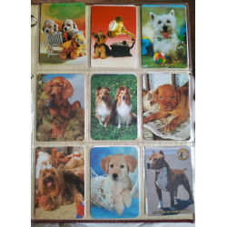 251 calendarios de bolsillo de animales