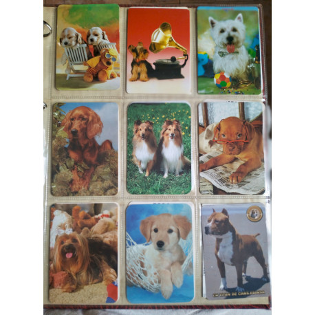 251 calendarios de bolsillo de animales