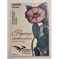 Paeonia recursos naturales del Mediterráneo 2025