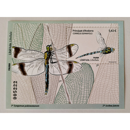 Fauna la libélula 2025