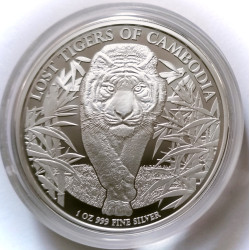 onza Plata lost tigers Camboya 2026