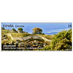 Arqueología las cogotas Ávila 202