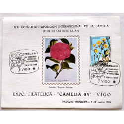 Camelia 84 Vigo