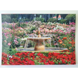 Rosaleda Madrid parque Oeste