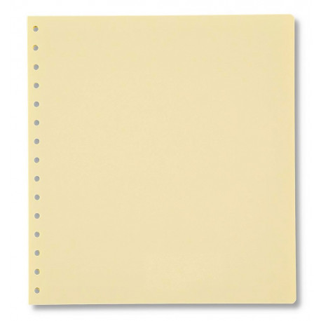 PAQUETE DE 10 CARTULINAS 15 ANILLAS