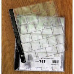 LOTE HOJAS PARDO EURO